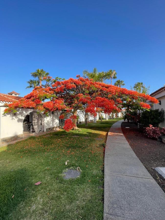 Parque Golf Fresh Apartment Maspalomas  Exterior photo