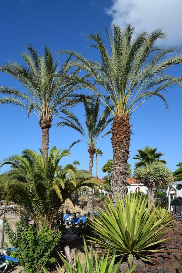 Parque Golf Fresh Apartment Maspalomas  Exterior photo